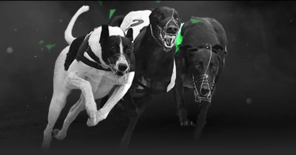 年经济亮点,揭晓,万亿,55125中国彩吧,彩票平台,在线购彩,快速投注,彩票分析