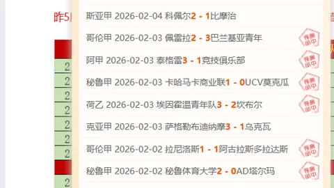 俄美第二轮峰会地点公布，元首会晤筹备情况及俄副外长最新动向揭晓