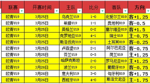 “2025扬州机关羽毛球大赛盛大开启，三百好手展翅竞技羽毛球风采”